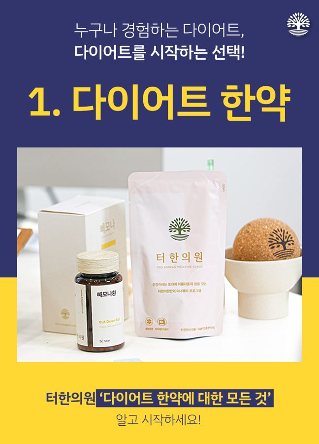 다이어트 한약 제품과 포장, 환 모형을 소개한 이미지